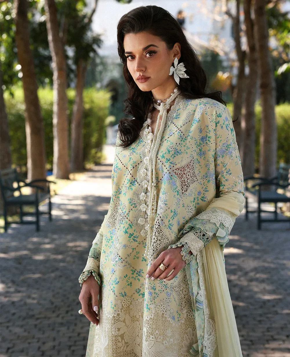 La-Donna Fame REPUBLIC WOMENS WEAR D8-A - Zuri