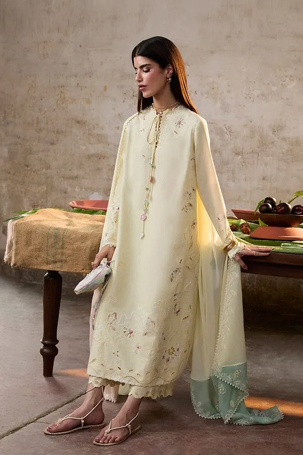 SUFFUSE BASICS RTW AMAAH