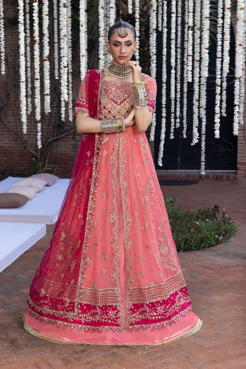 RANG RASIYA WEDDING FORMALS NARMEEN