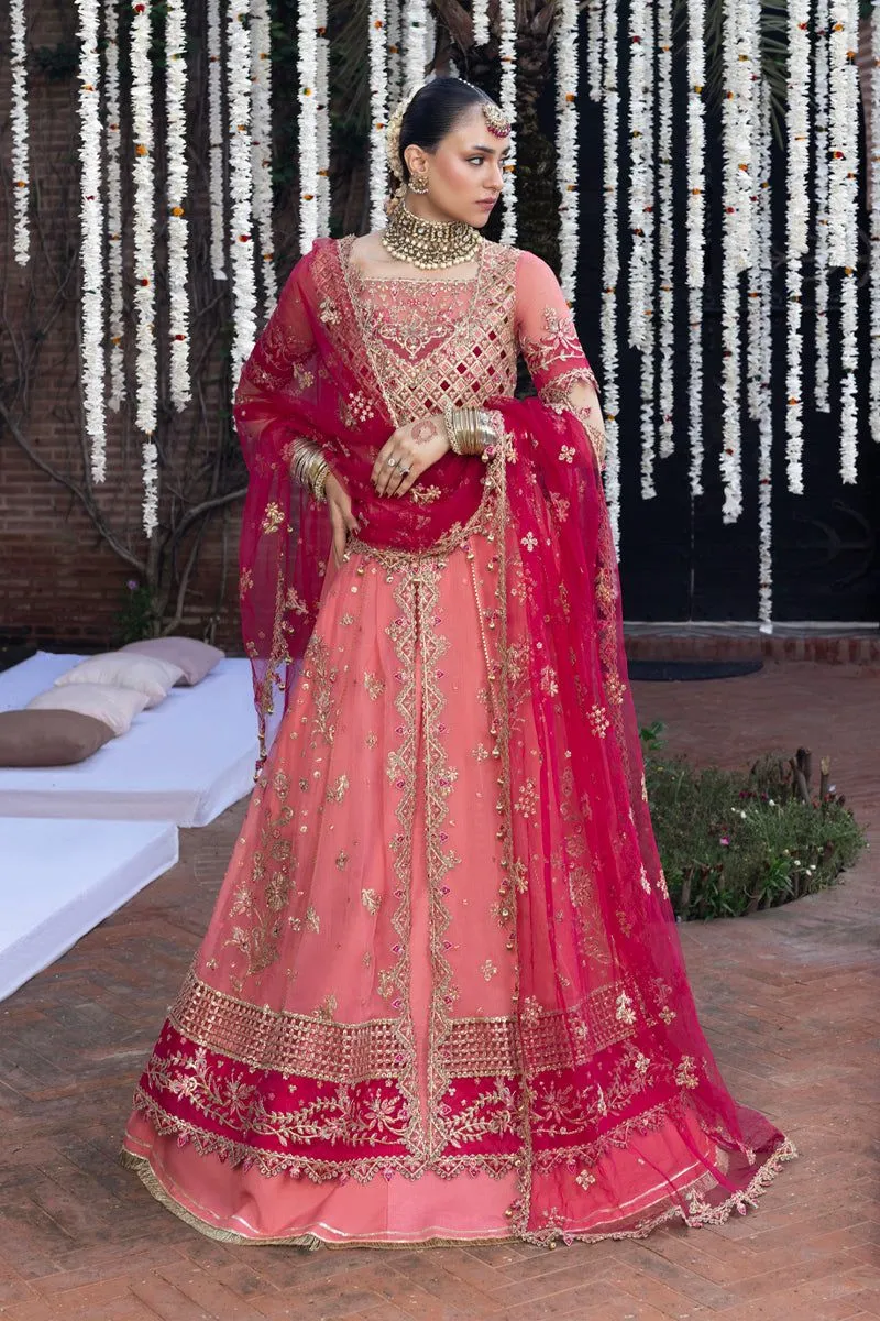 RANG RASIYA WEDDING FORMALS NARMEEN