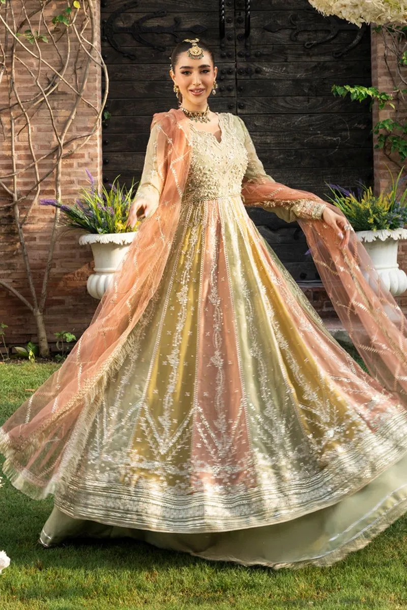 RANG RASIYA WEDDING FORMALS AMIL