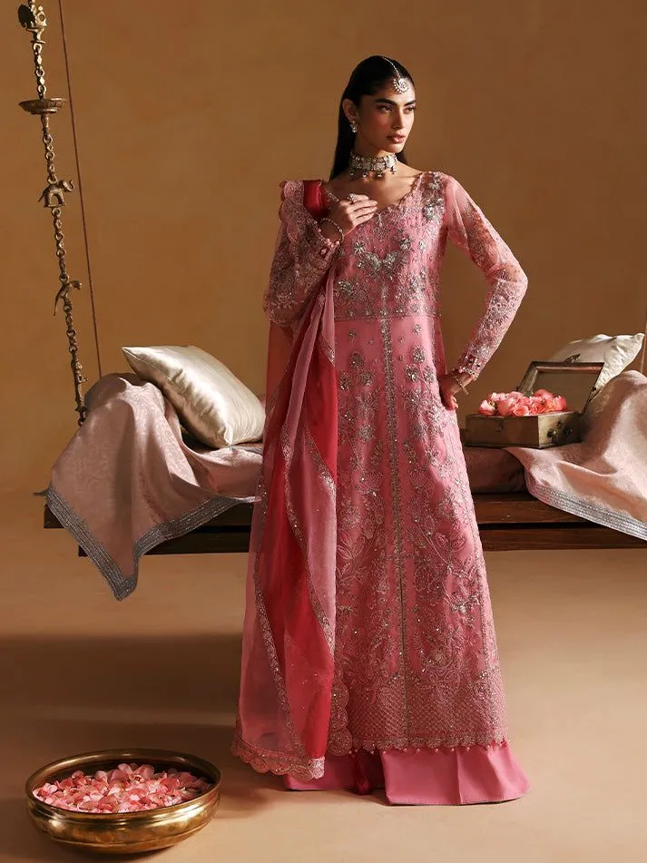 GULAAL wedding Areeman