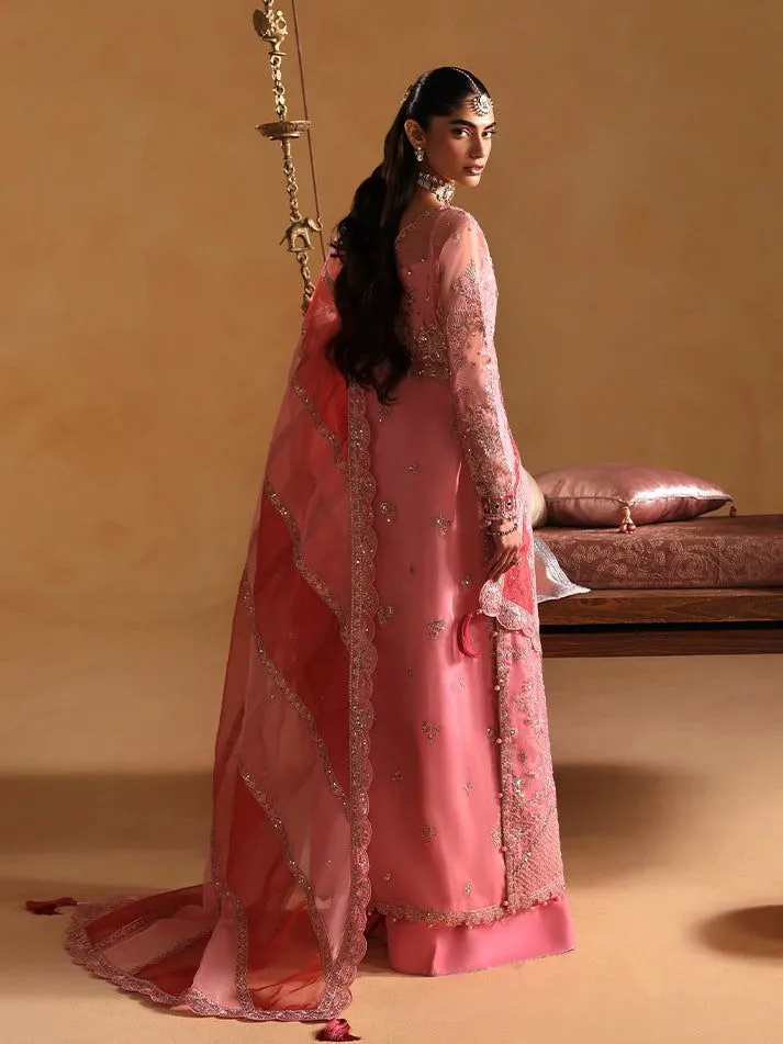 GULAAL wedding Areeman