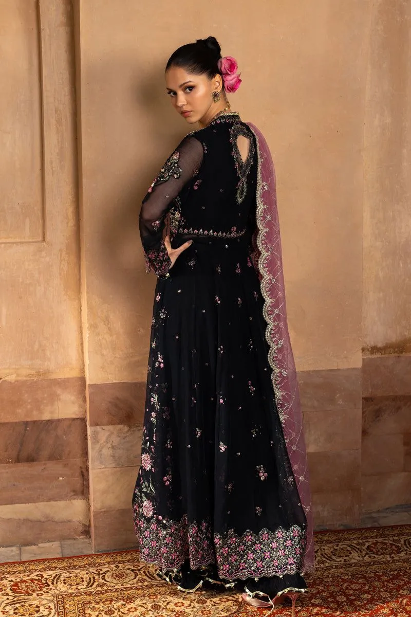 Rang Rasiya SOFIA