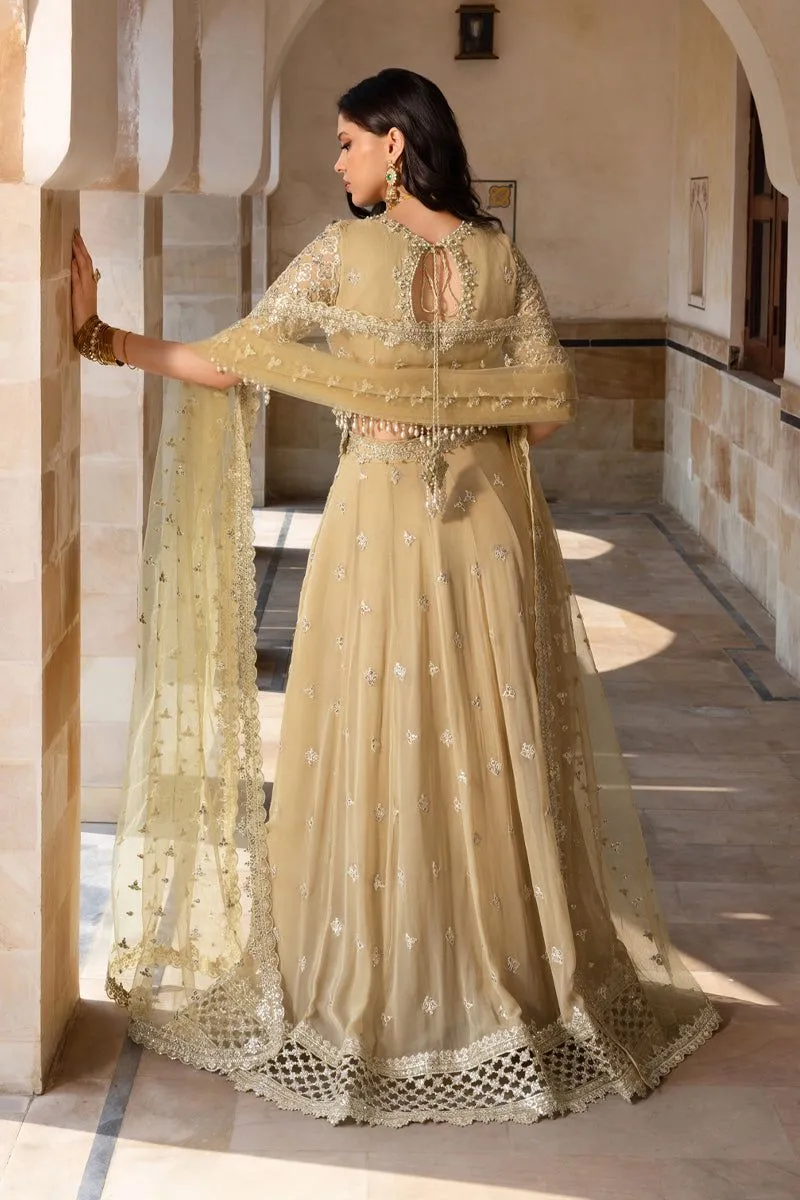 Rang Rasiya ZAIENA