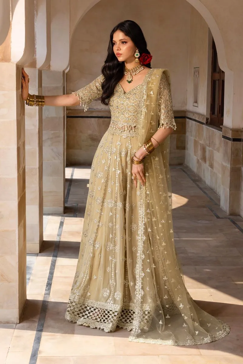 Rang Rasiya ZAIENA