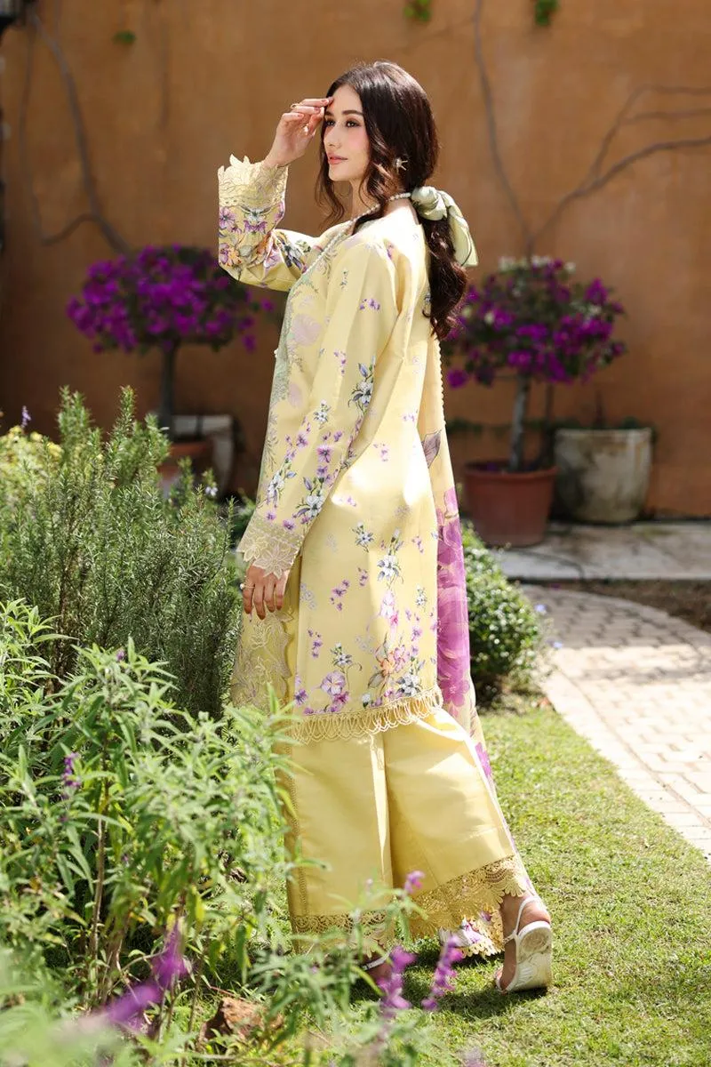 RANG RASIYA Home / LIFESTYLE HAZEL