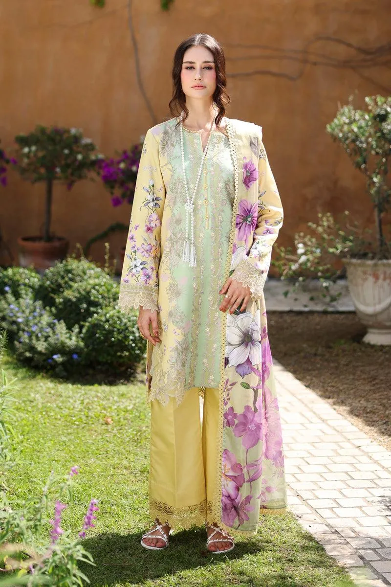 RANG RASIYA Home / LIFESTYLE HAZEL
