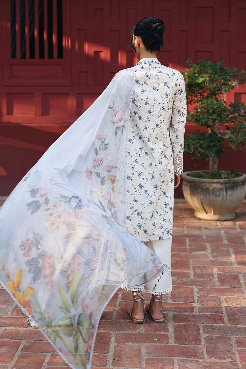 QALAMKAR Qprints AX-08 (A) AERIN