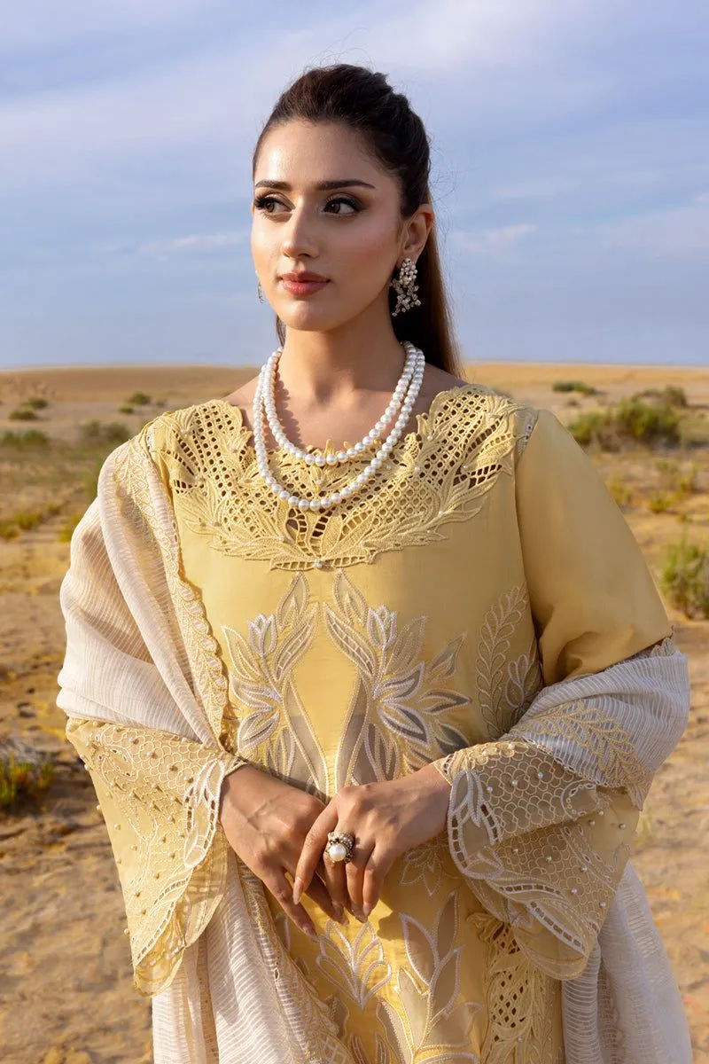 RANG RASIYA  PREMIUM SUMMER COLLECTION '26