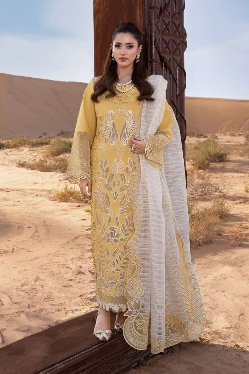 RANG RASIYA  PREMIUM SUMMER COLLECTION '26