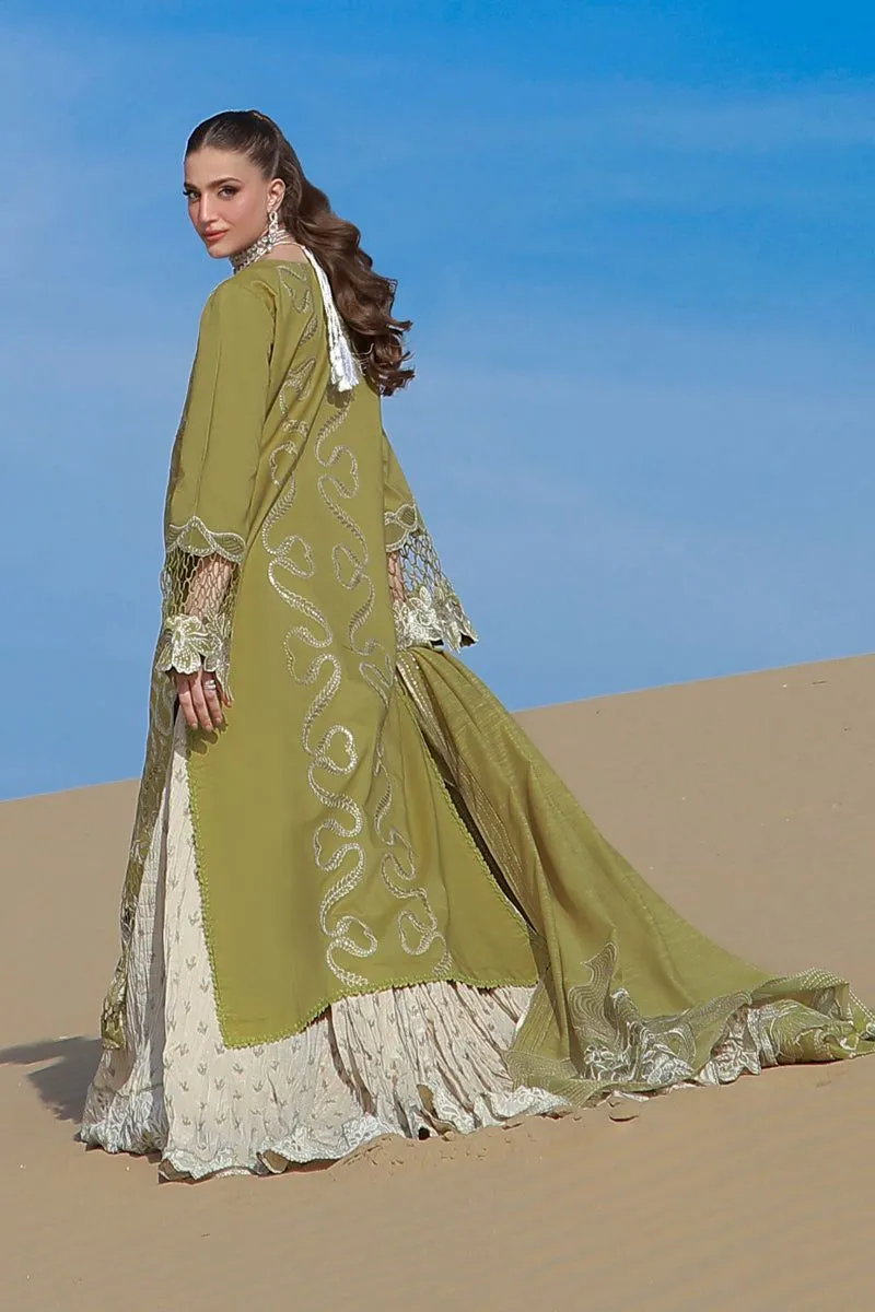 RANG RASIYA  PREMIUM SUMMER COLLECTION '26