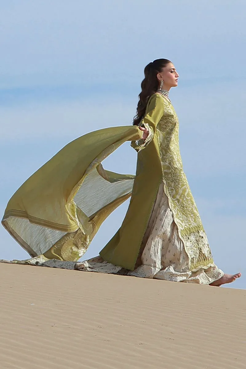 RANG RASIYA  PREMIUM SUMMER COLLECTION '26