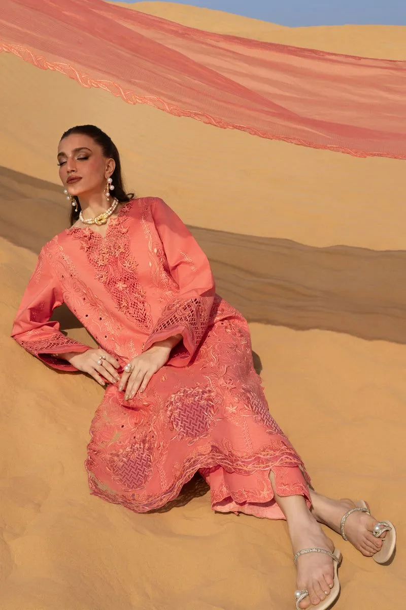 RANG RASIYA  PREMIUM SUMMER COLLECTION '26