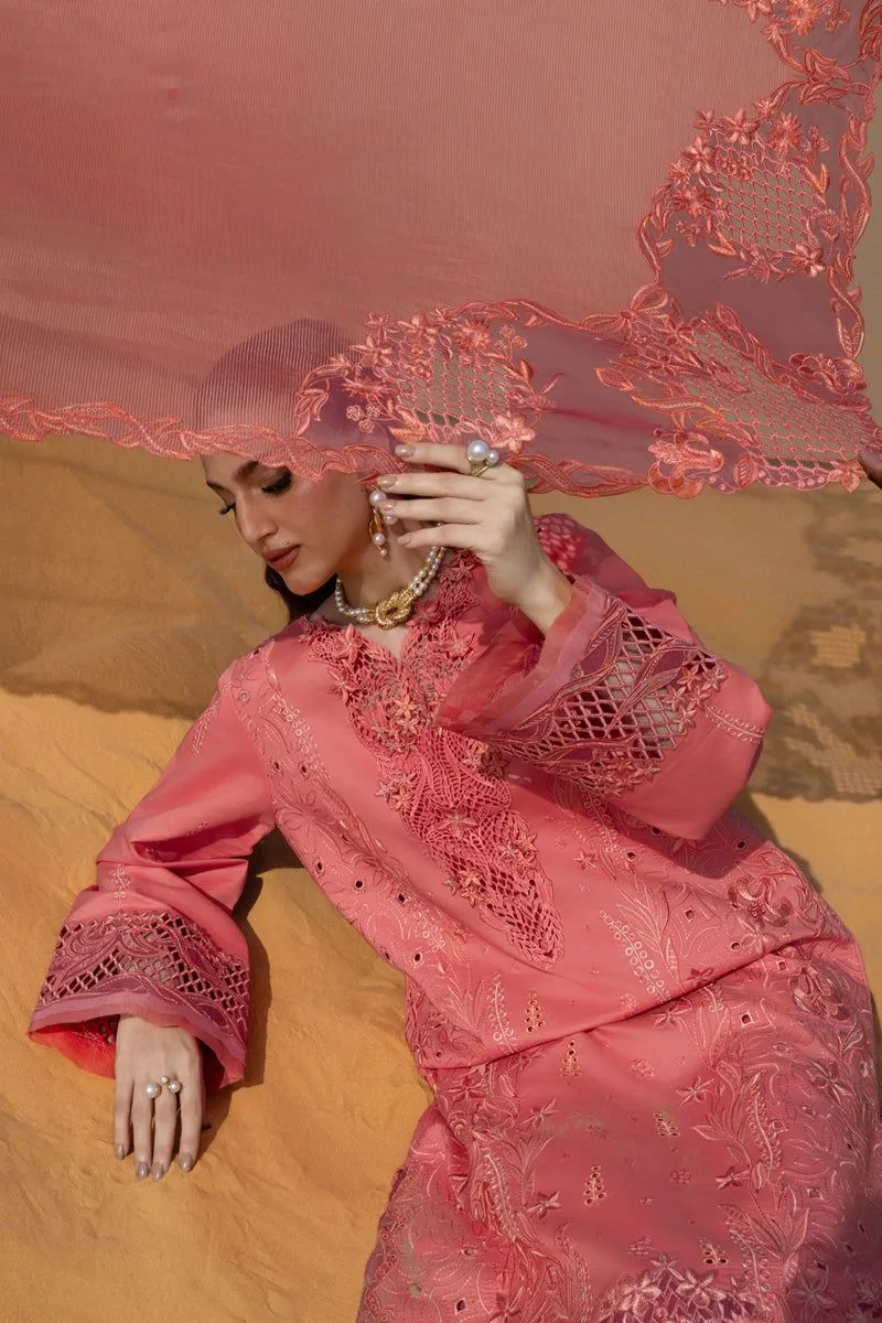 RANG RASIYA  PREMIUM SUMMER COLLECTION '26