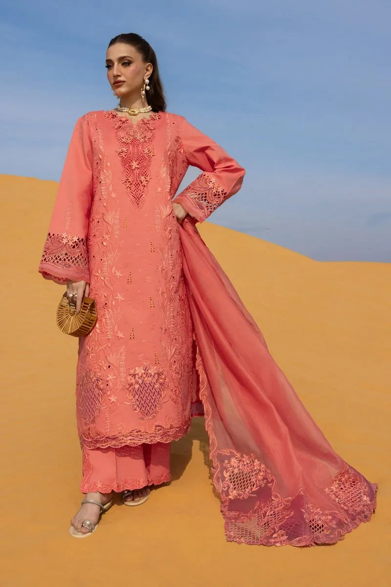 RANG RASIYA  PREMIUM SUMMER COLLECTION '26