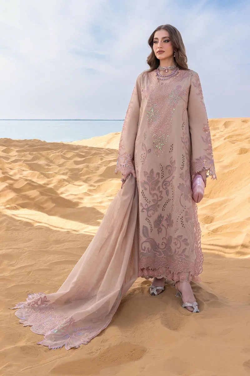 RANG RASIYA  PREMIUM SUMMER COLLECTION '26