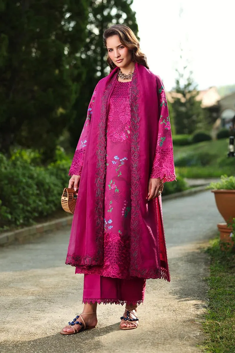Rang Rasiya Florence  Summer