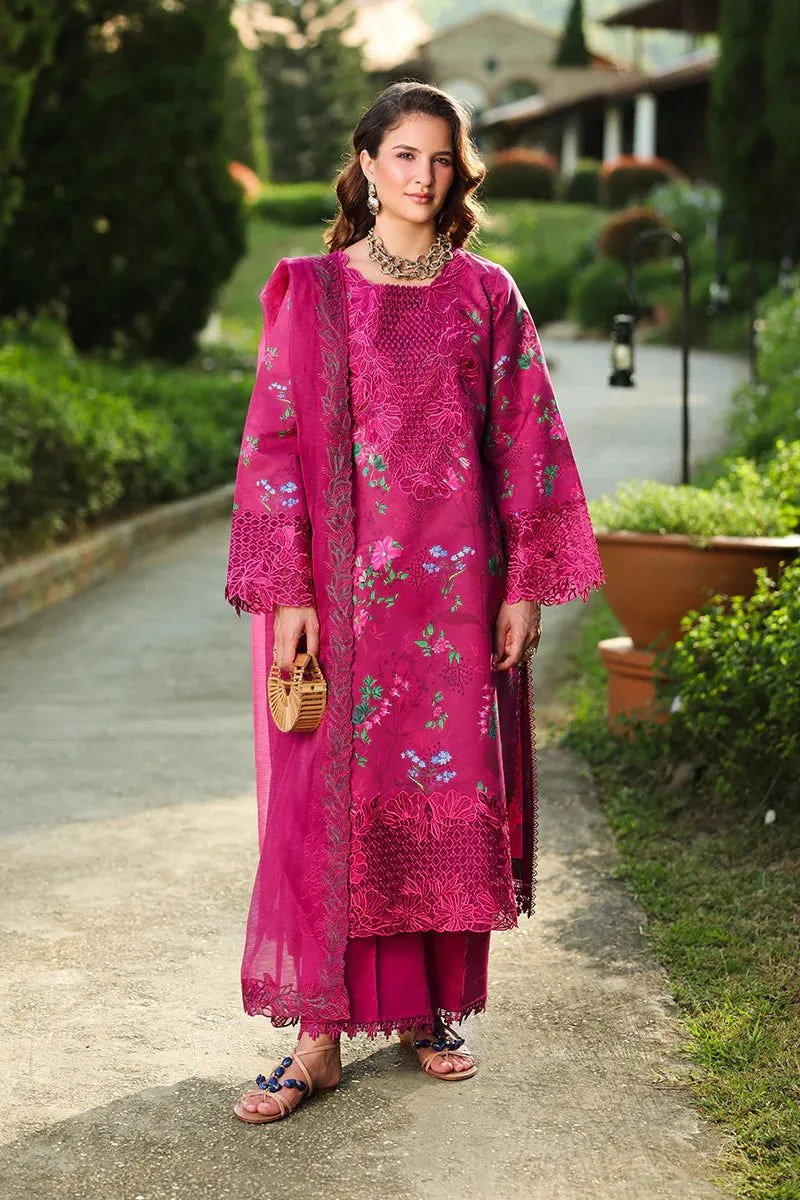 Rang Rasiya Florence  Summer