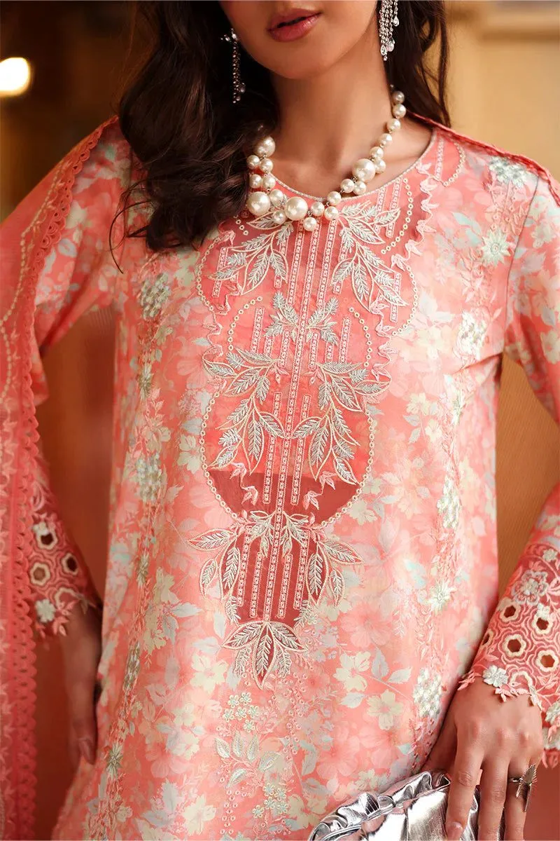 Rang Rasiya Florence  Summer