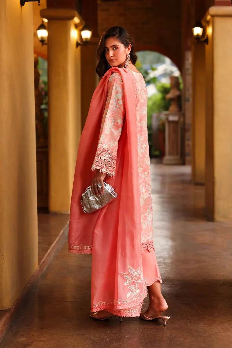 Rang Rasiya Florence  Summer