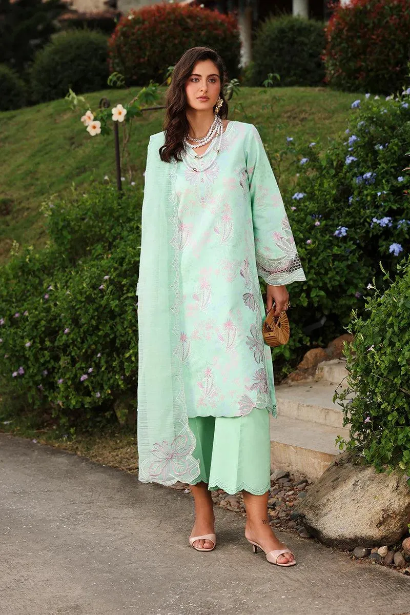 Rang Rasiya Florence Summer