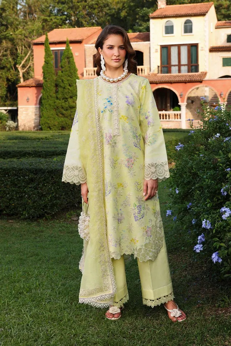 Rang Rasiya Florence Summer