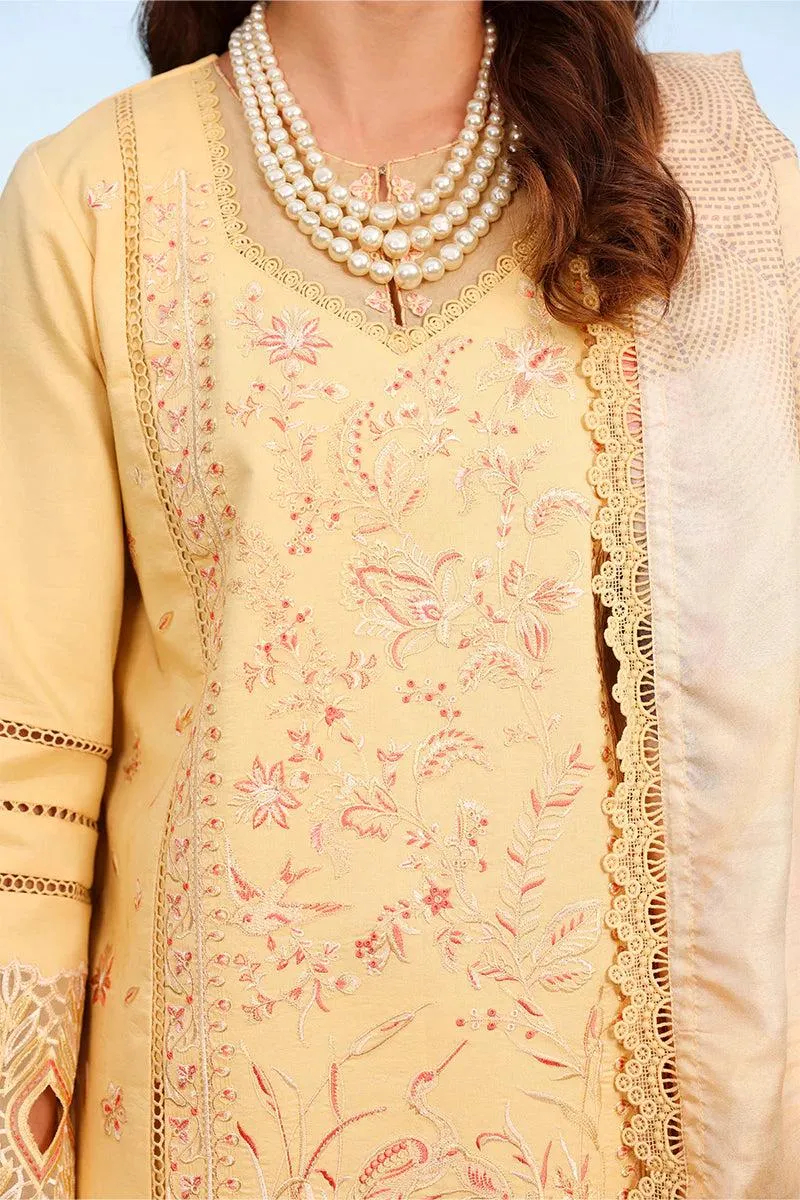 Rang Rasiya Florence Summer
