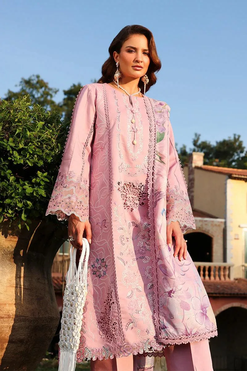 Rang Rasiya Florence Summer