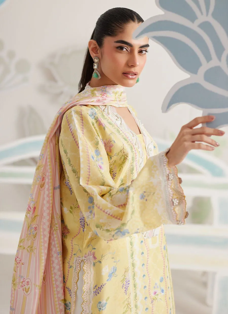 FARAH TALIB AZIZ RTW