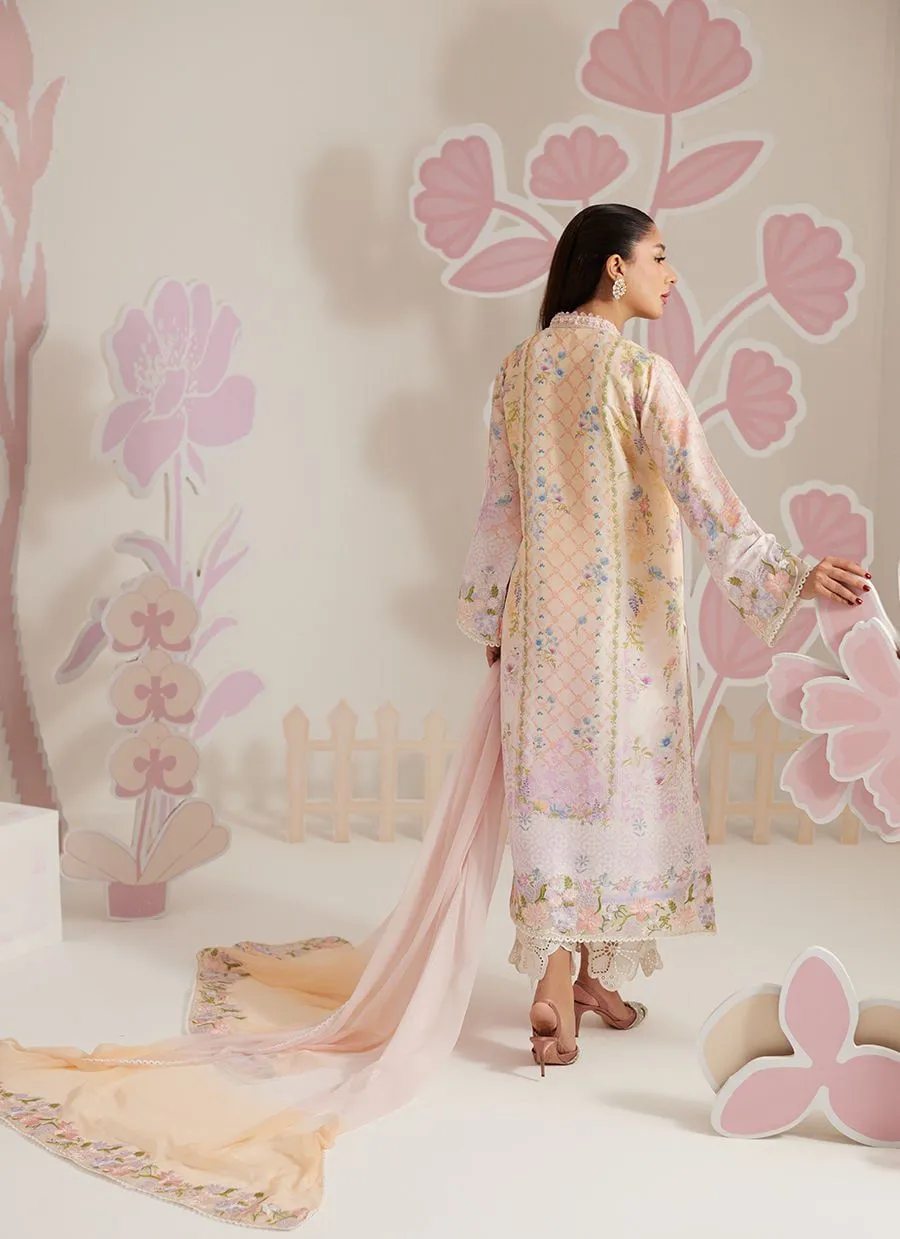 FARAH TALIB AZIZ RTW