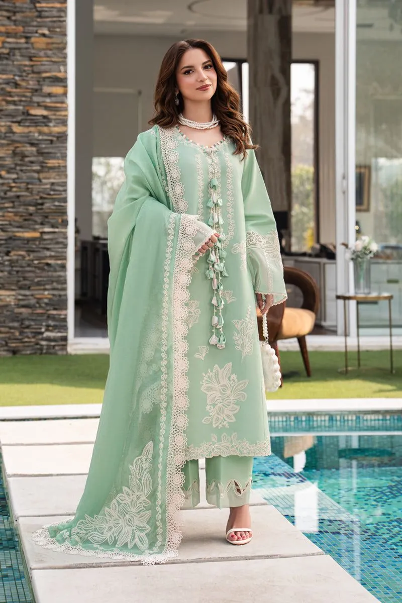 RANG RASIYA  CARNATION EID
