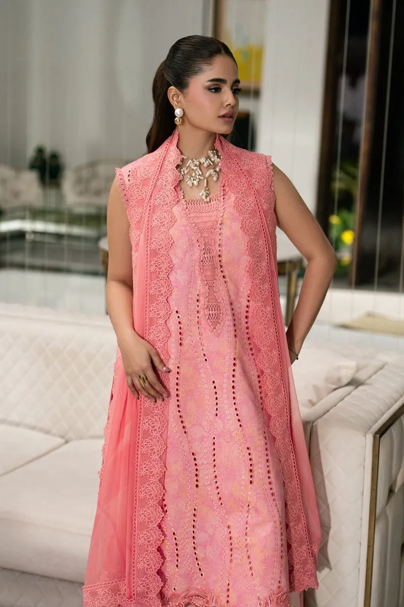 RANG RASIYA  CARNATION EID