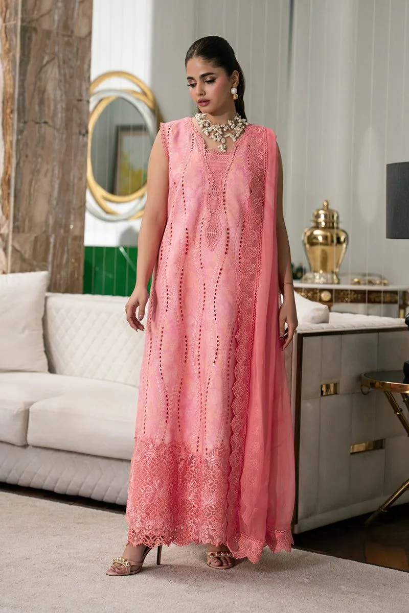 RANG RASIYA  CARNATION EID