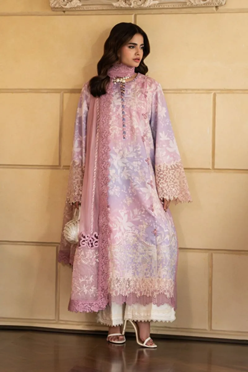 RANG RASIYA  CARNATION EID