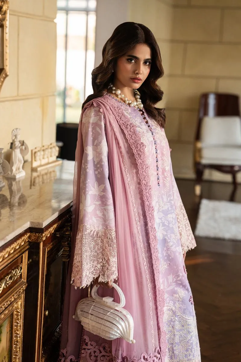 RANG RASIYA  CARNATION EID