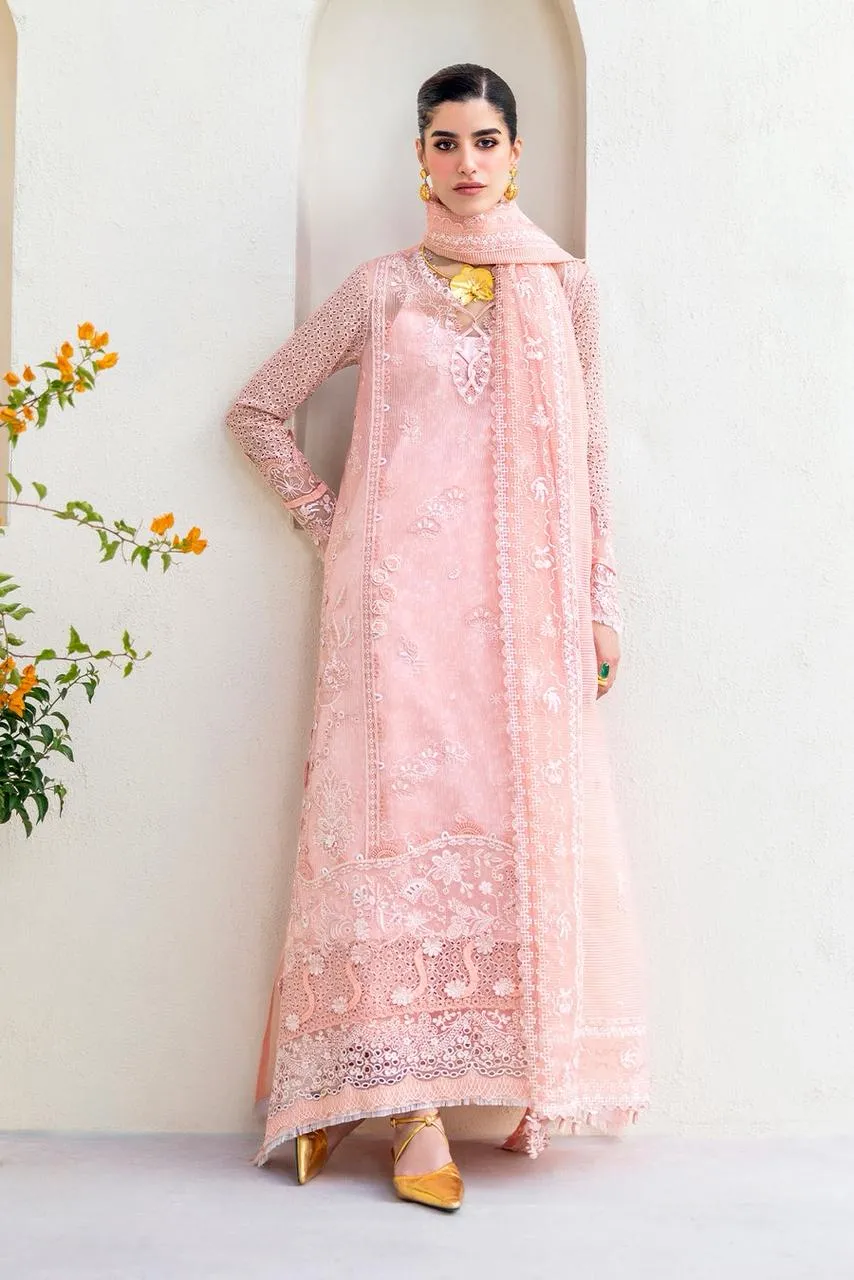 QALAMKAR RTW