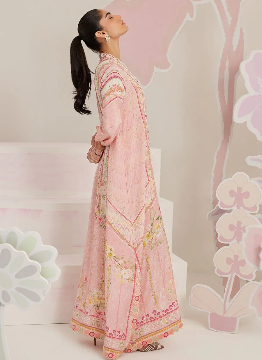 FARAH TALIB AZIZ RTW