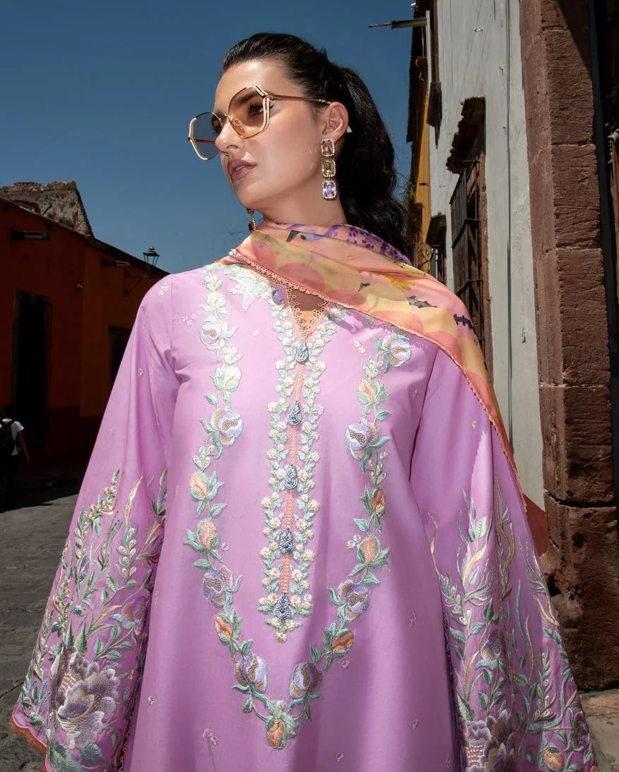 MUSHQ HEMLINE ALBA