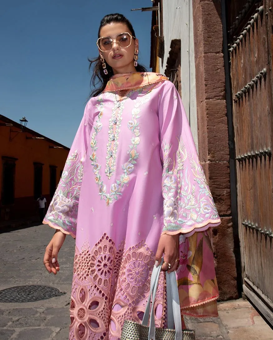 MUSHQ HEMLINE ALBA