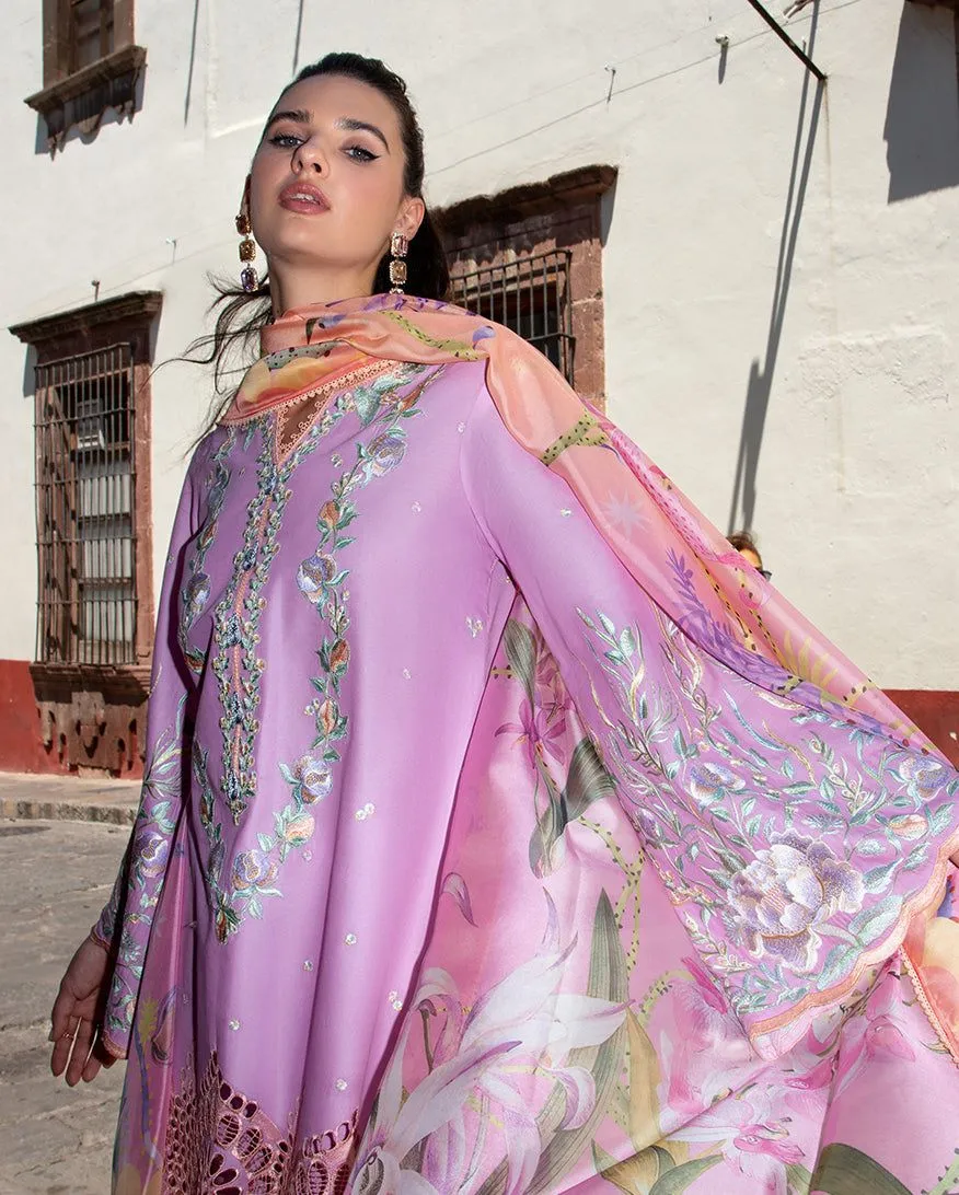 MUSHQ HEMLINE ALBA