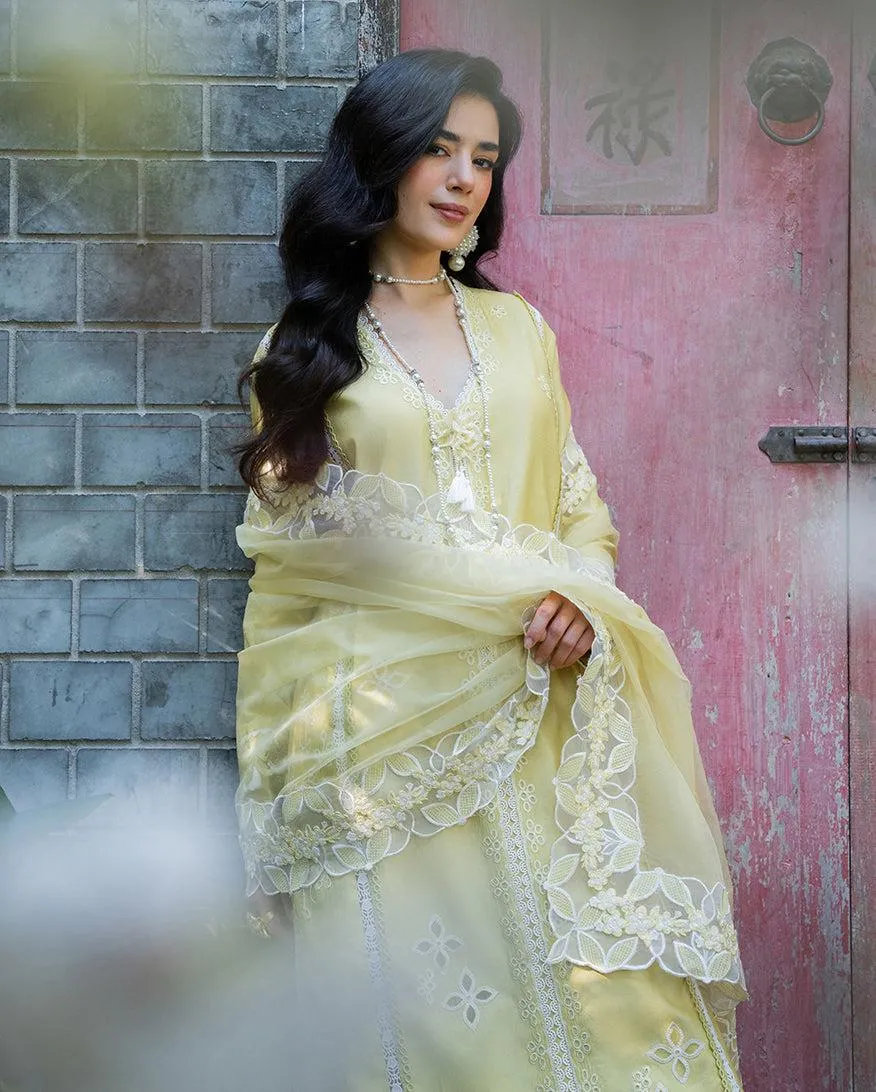 MUSHQ RTW