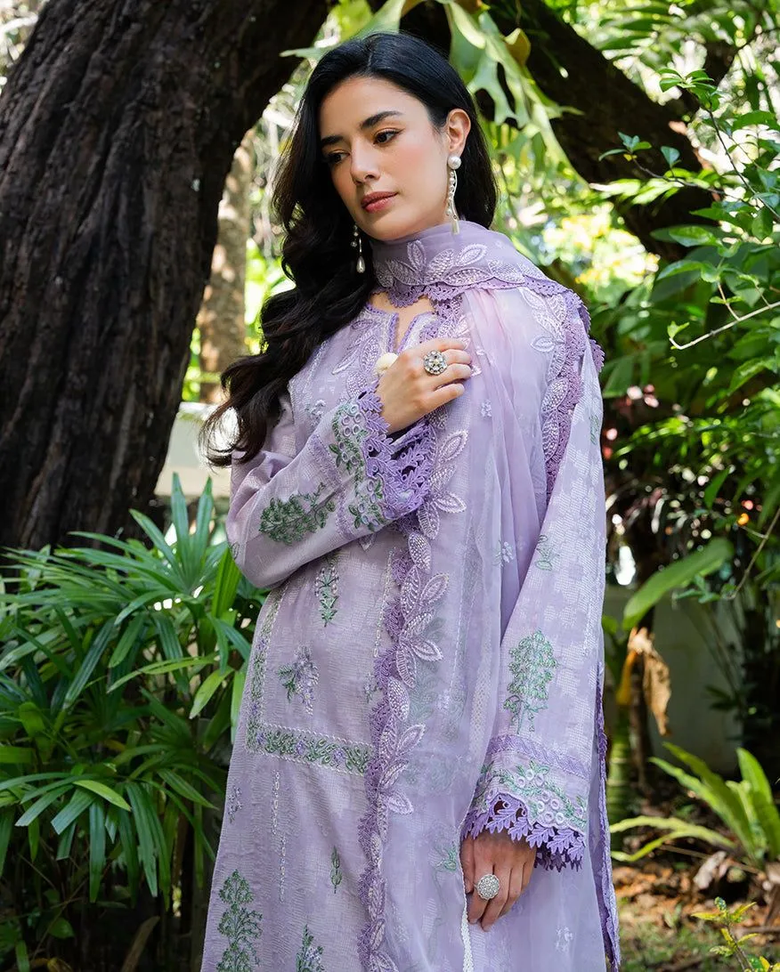 MUSHQ RTW