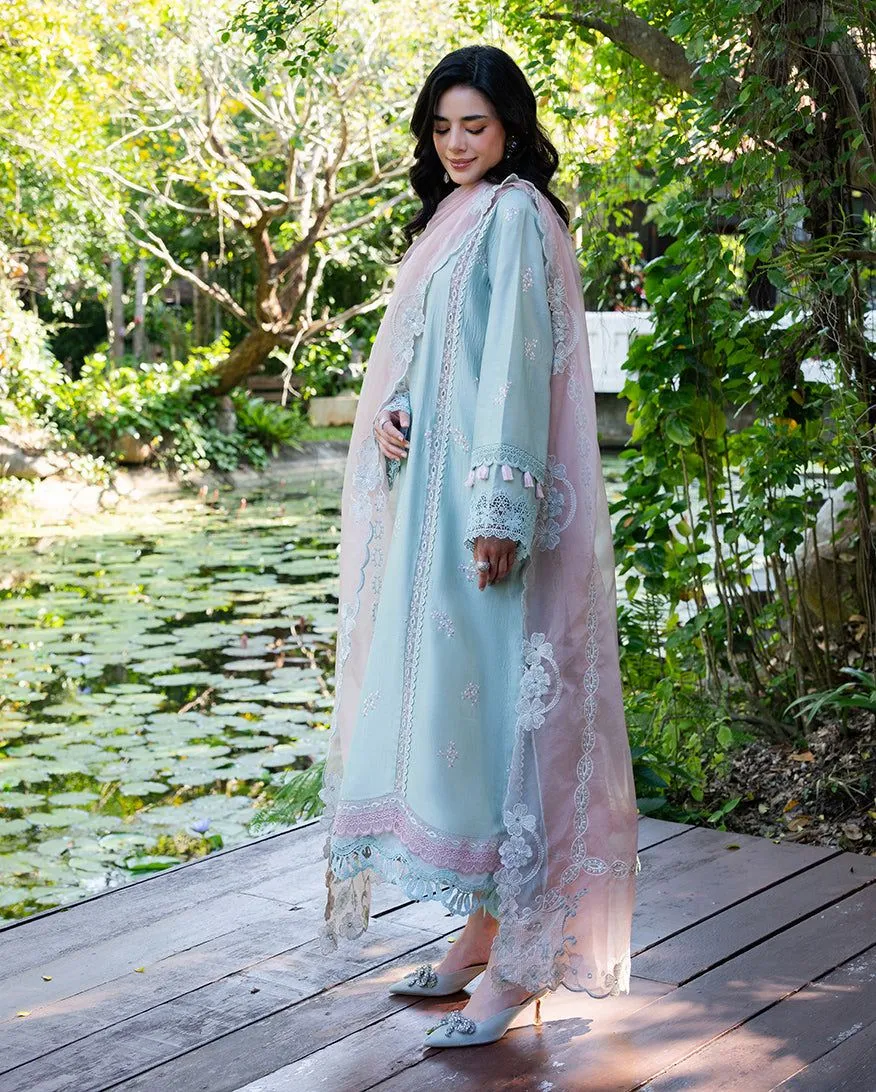 MUSHQ RTW