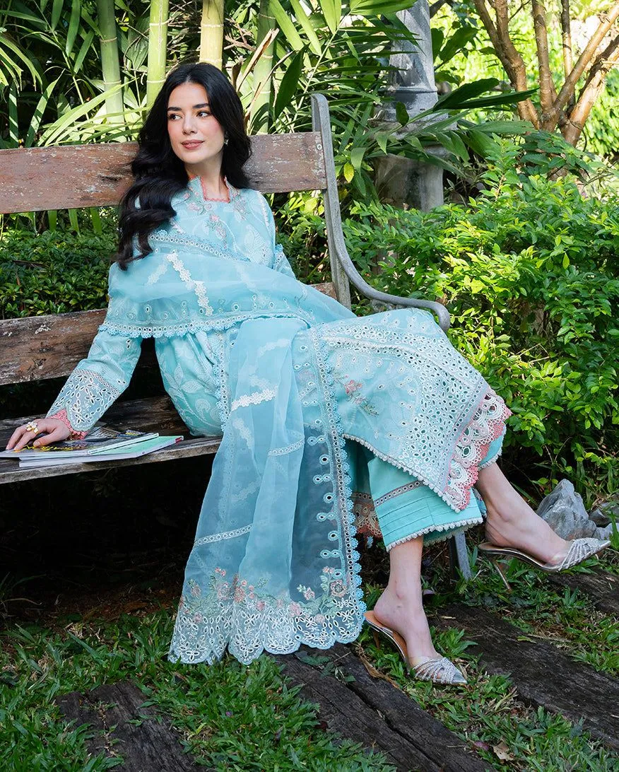 MUSHQ RTW
