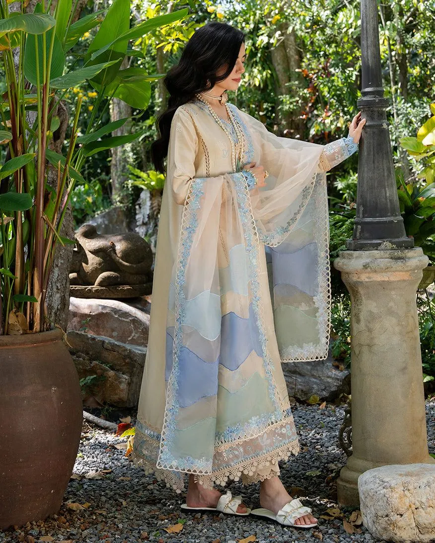 MUSHQ RTW