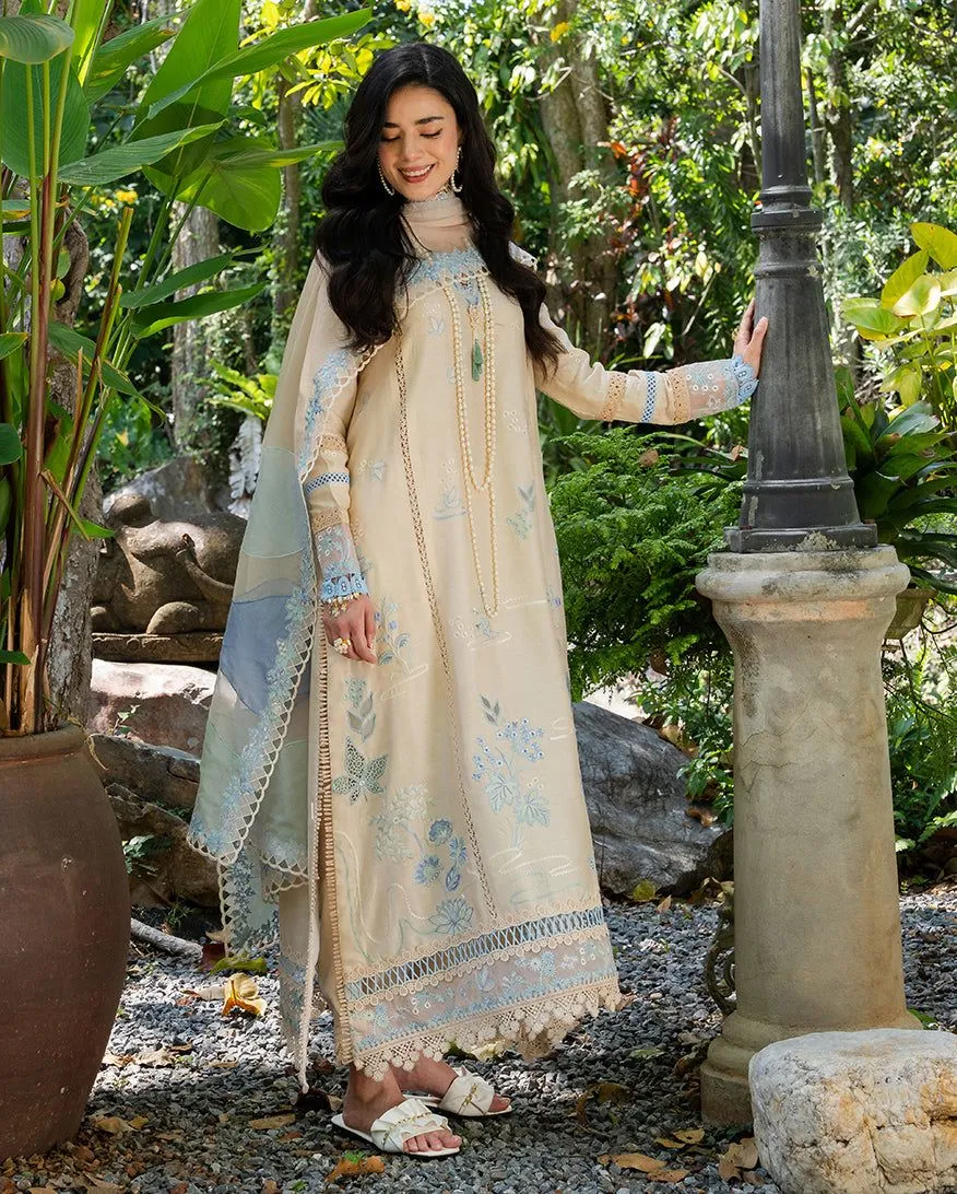 MUSHQ RTW