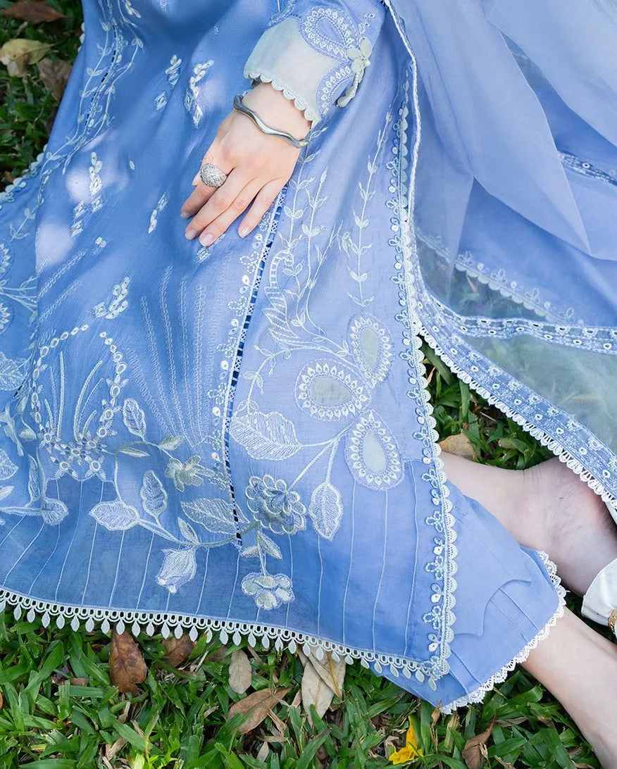 MUSHQ RTW