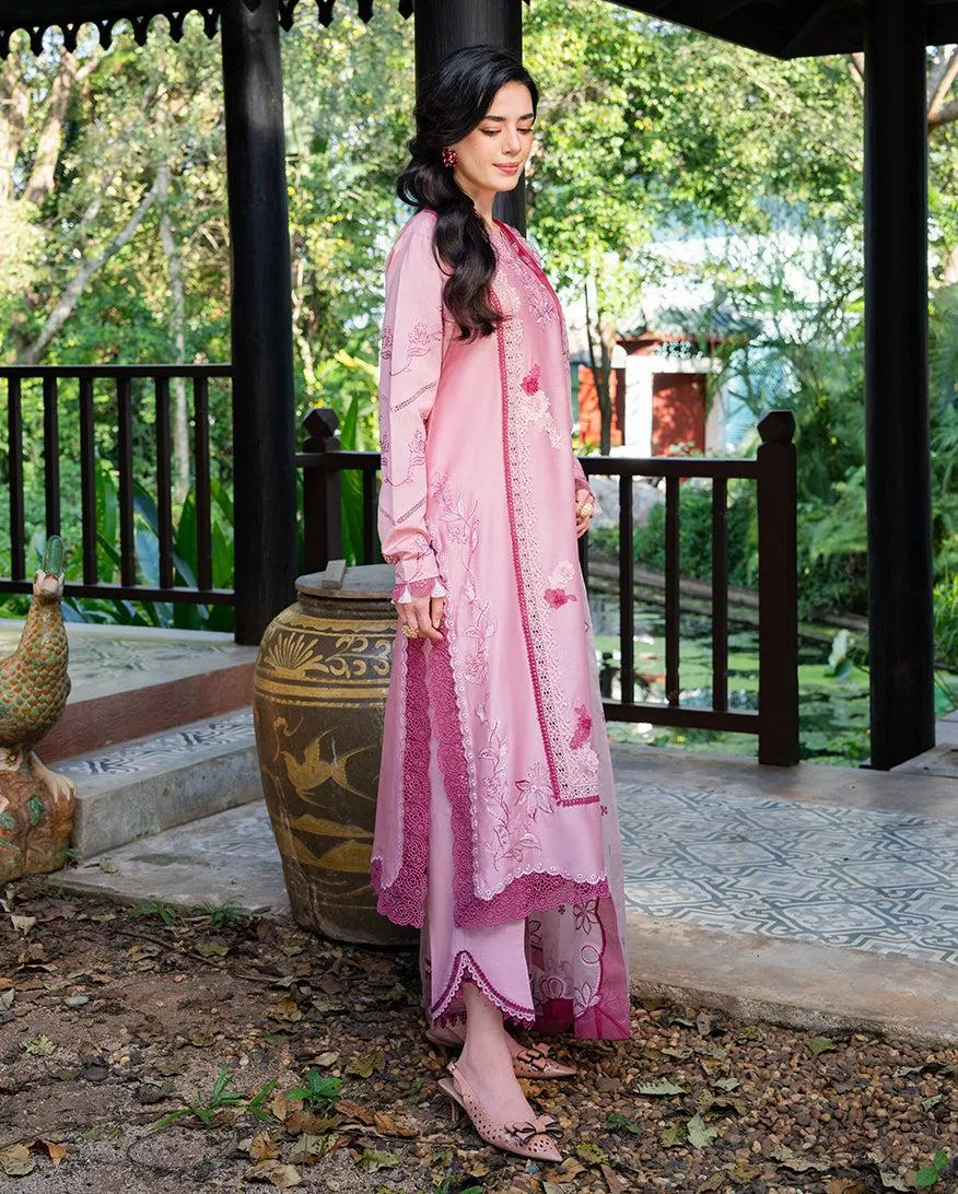 MUSHQ RTW