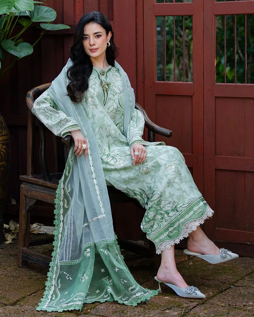 MUSHQ RTW